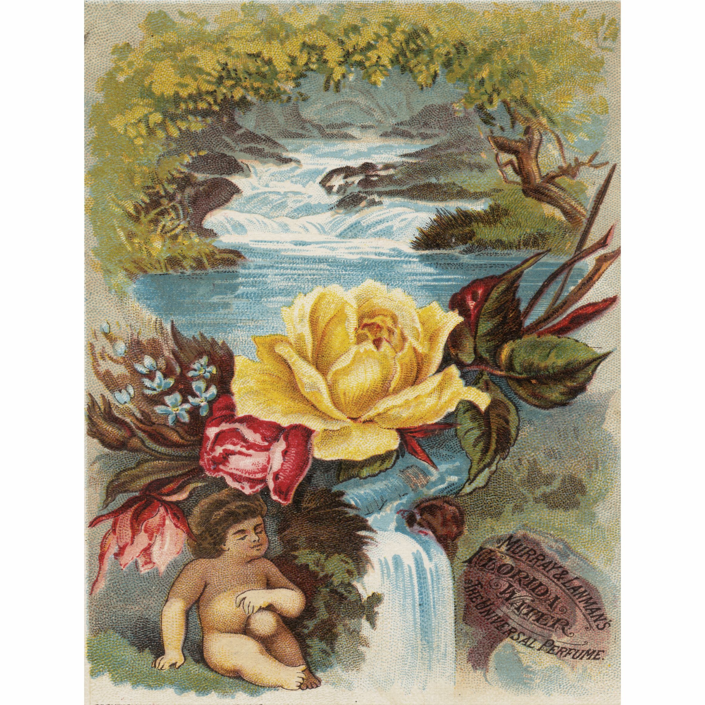 Florida Water Rice Paper- 6 Unique Printed Mulberry Paper Pages 30gsm