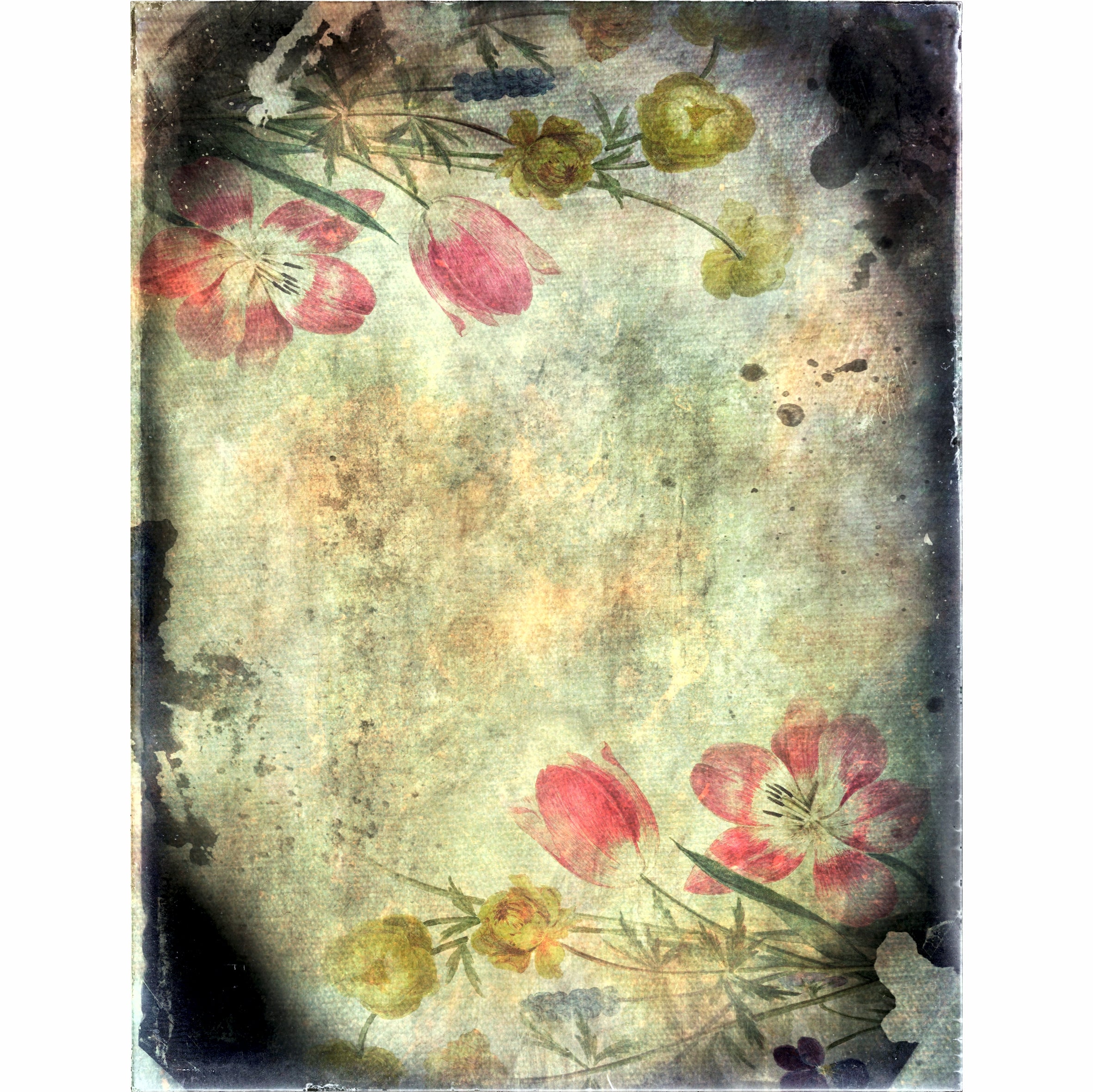 Dark Roses Rice Paper- 6 x Different Printed Mulberry Paper Images 30gsm