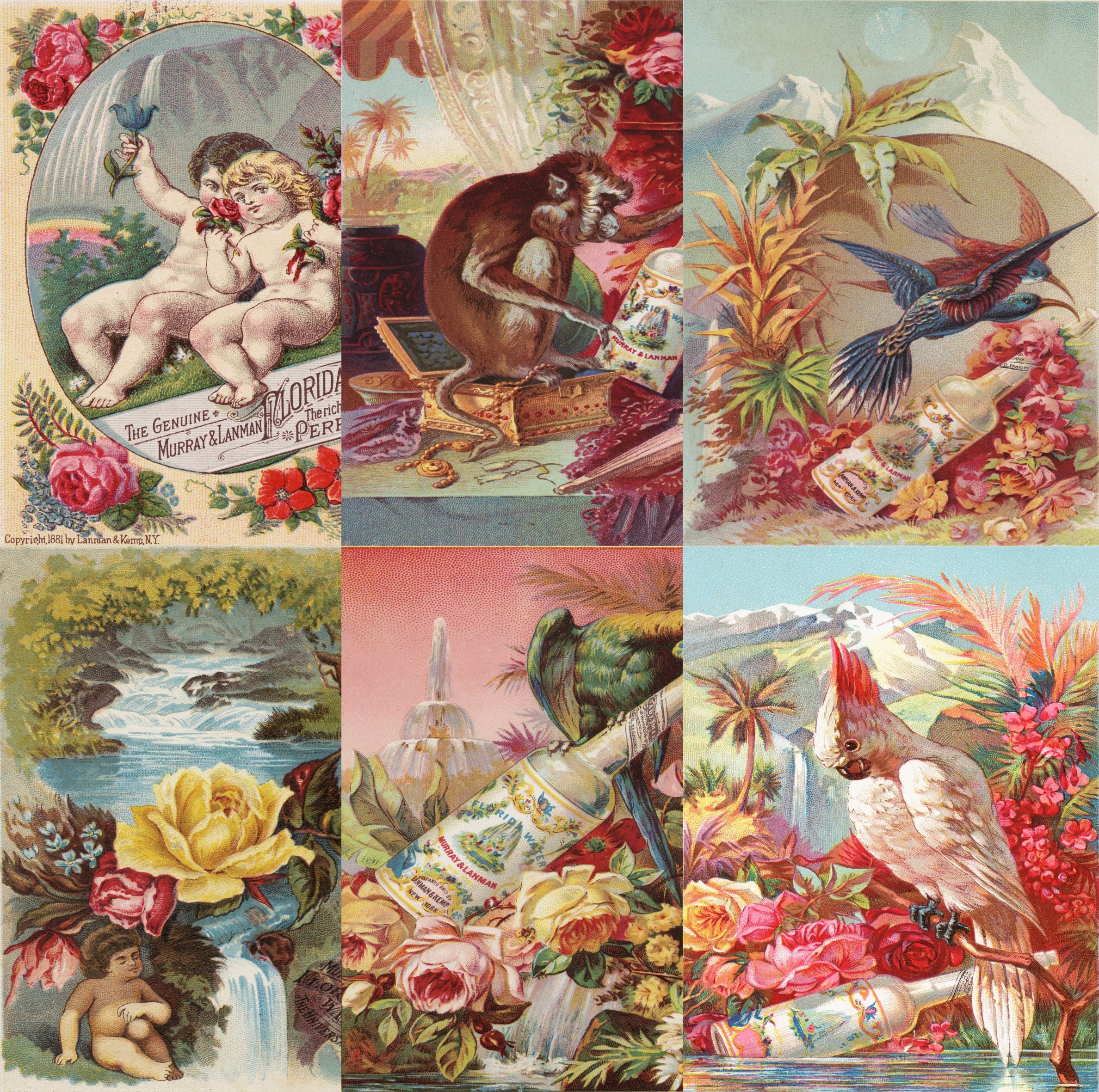 Florida Water Rice Paper- 6 Unique Printed Mulberry Paper Pages 30gsm