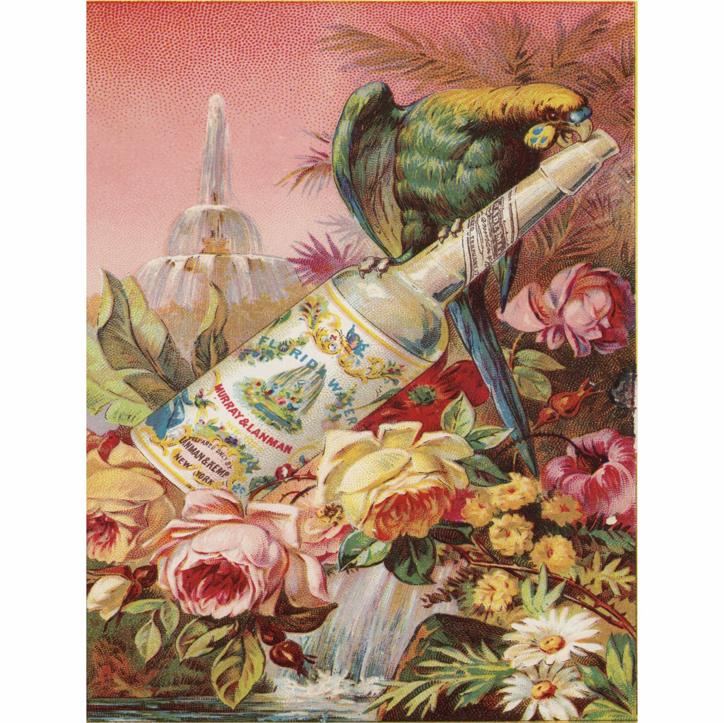 Florida Water Rice Paper- 6 Unique Printed Mulberry Paper Pages 30gsm
