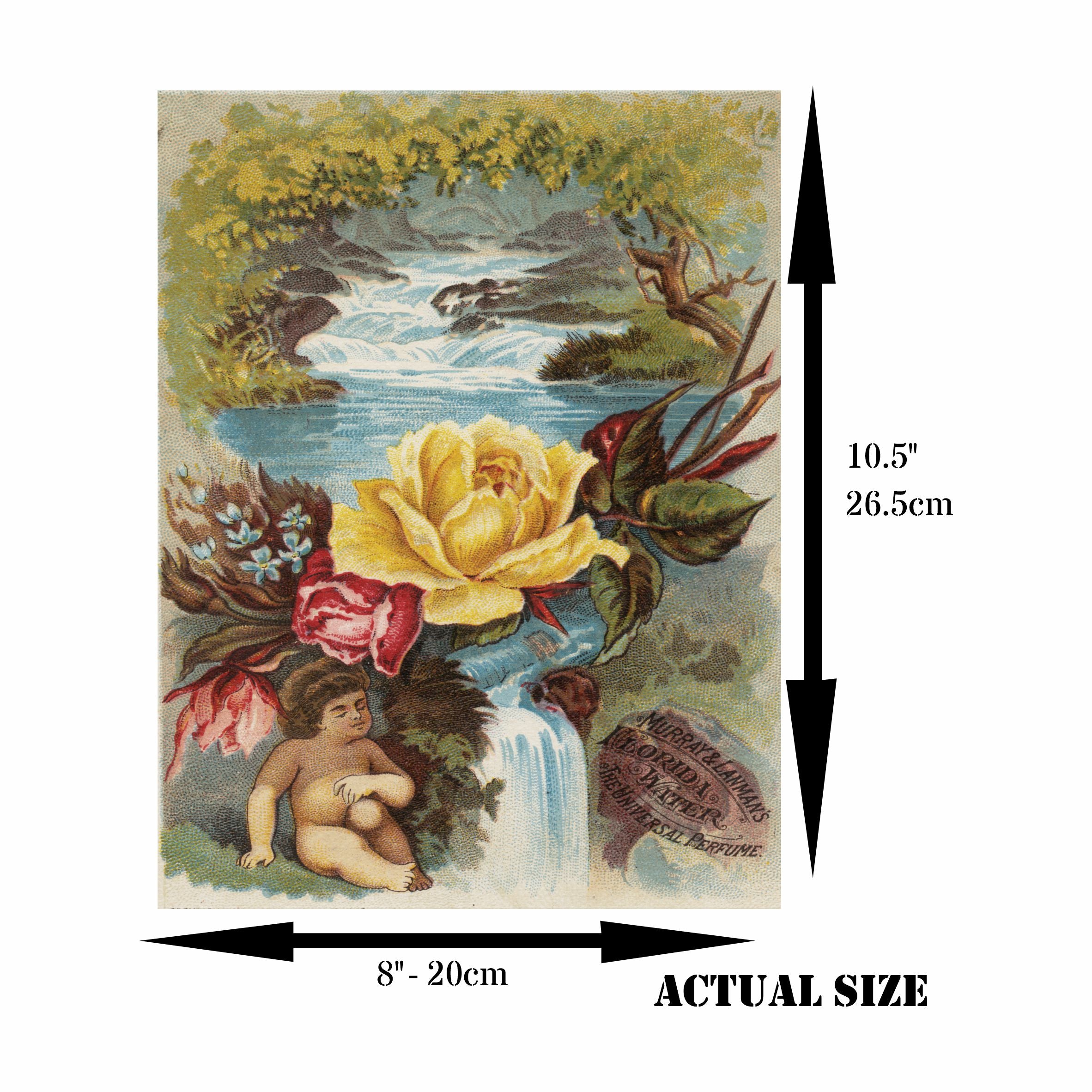 Florida Water Rice Paper- 6 Unique Printed Mulberry Paper Pages 30gsm