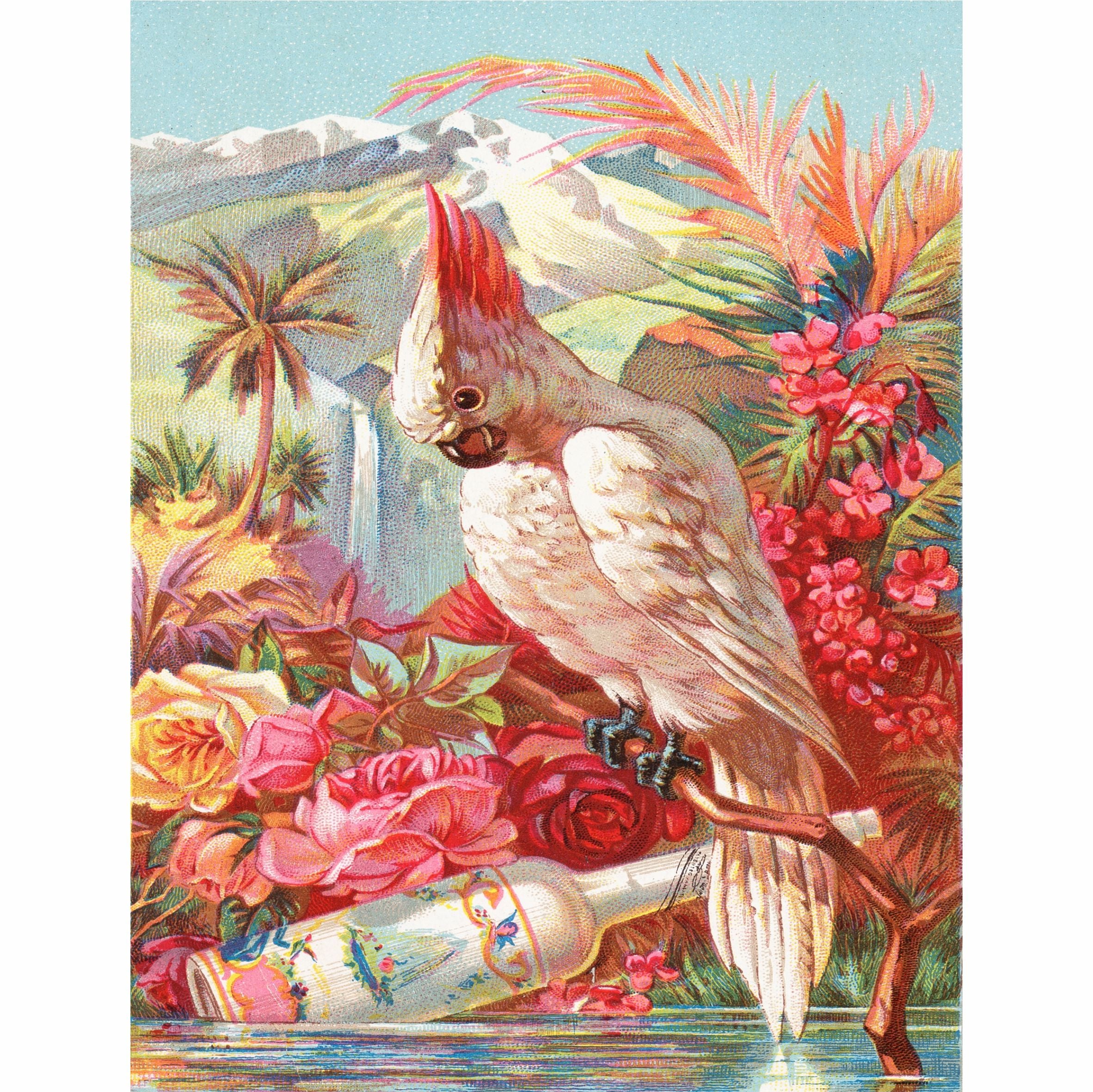 Florida Water Rice Paper- 6 Unique Printed Mulberry Paper Pages 30gsm