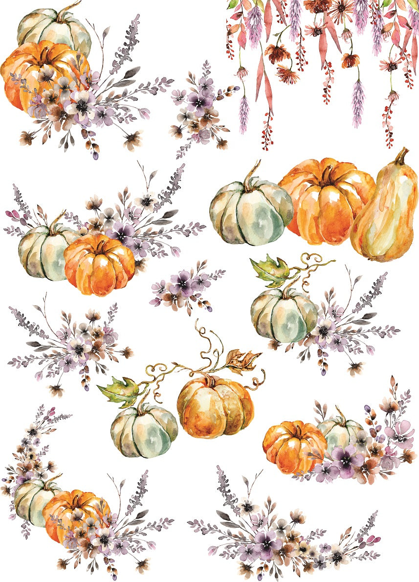 Thanksgiving Pumpkins Rice Paper- 12 Unique Pumpkin Images Printed on 36gsm