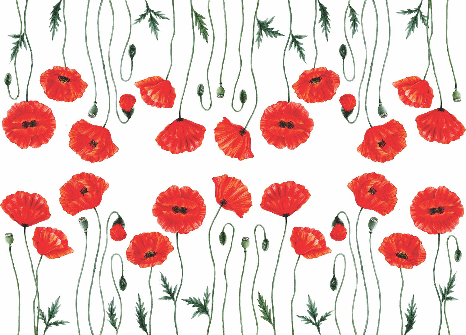 Poppy 2 Border Rice Paper- 3 Sheets Printed Mulberry Paper Border 36gsm