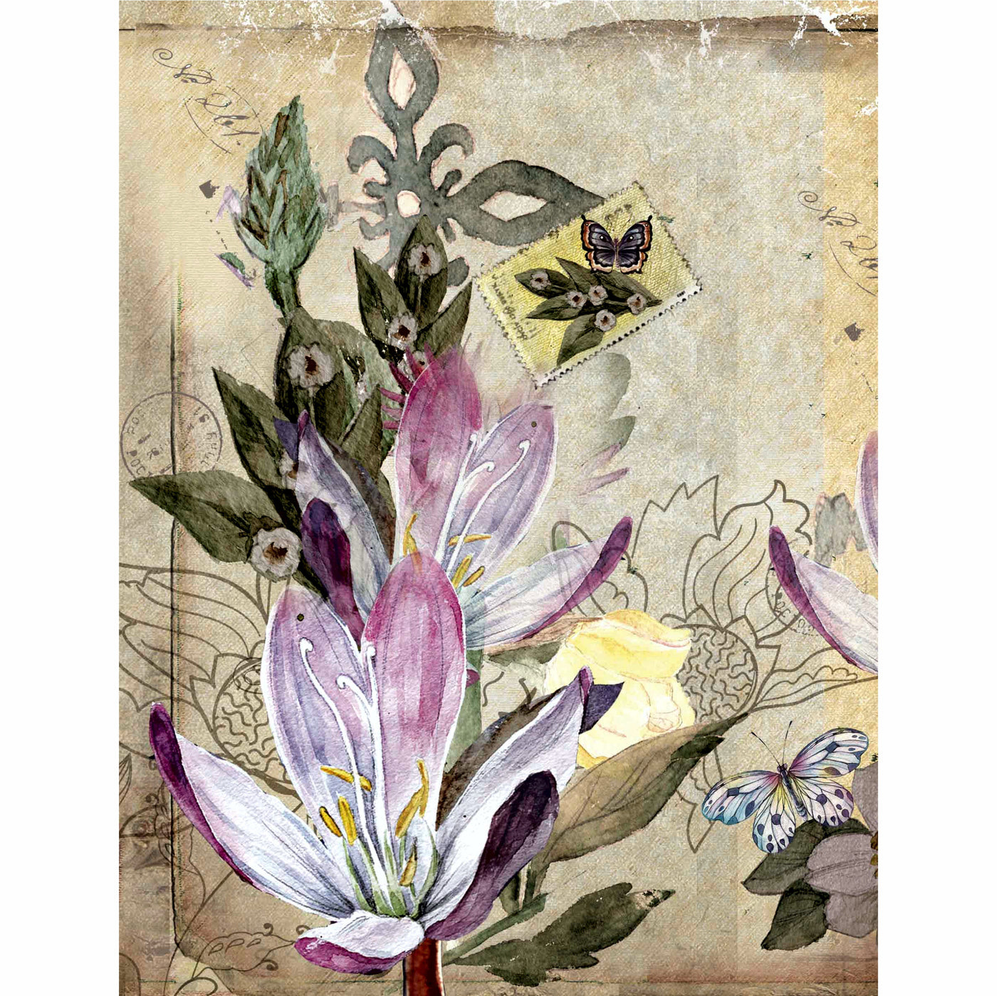 Floral Postcard Rice Paper- 6 x Different Printed Mulberry Paper Images 30gsm