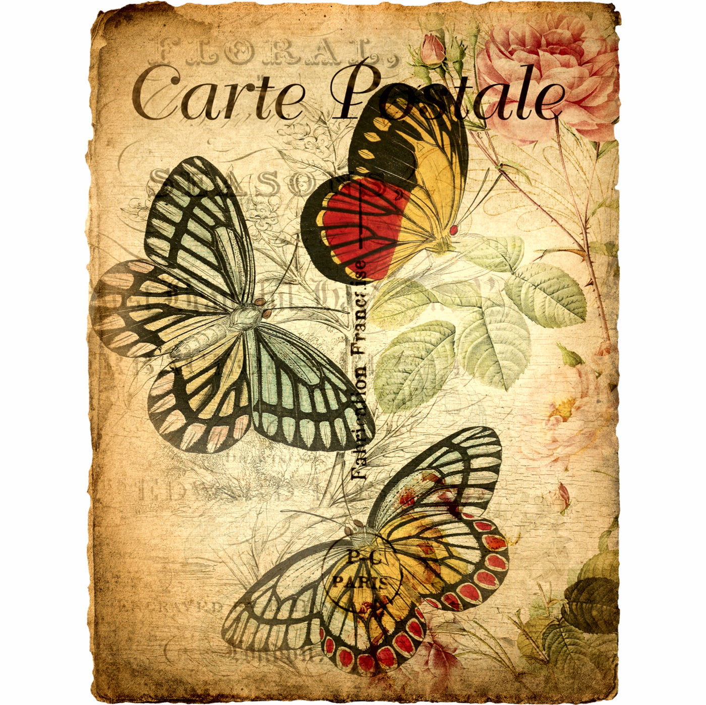 Carte Postale Rice Paper- 6 x Different Printed Mulberry Paper Images 30gsm