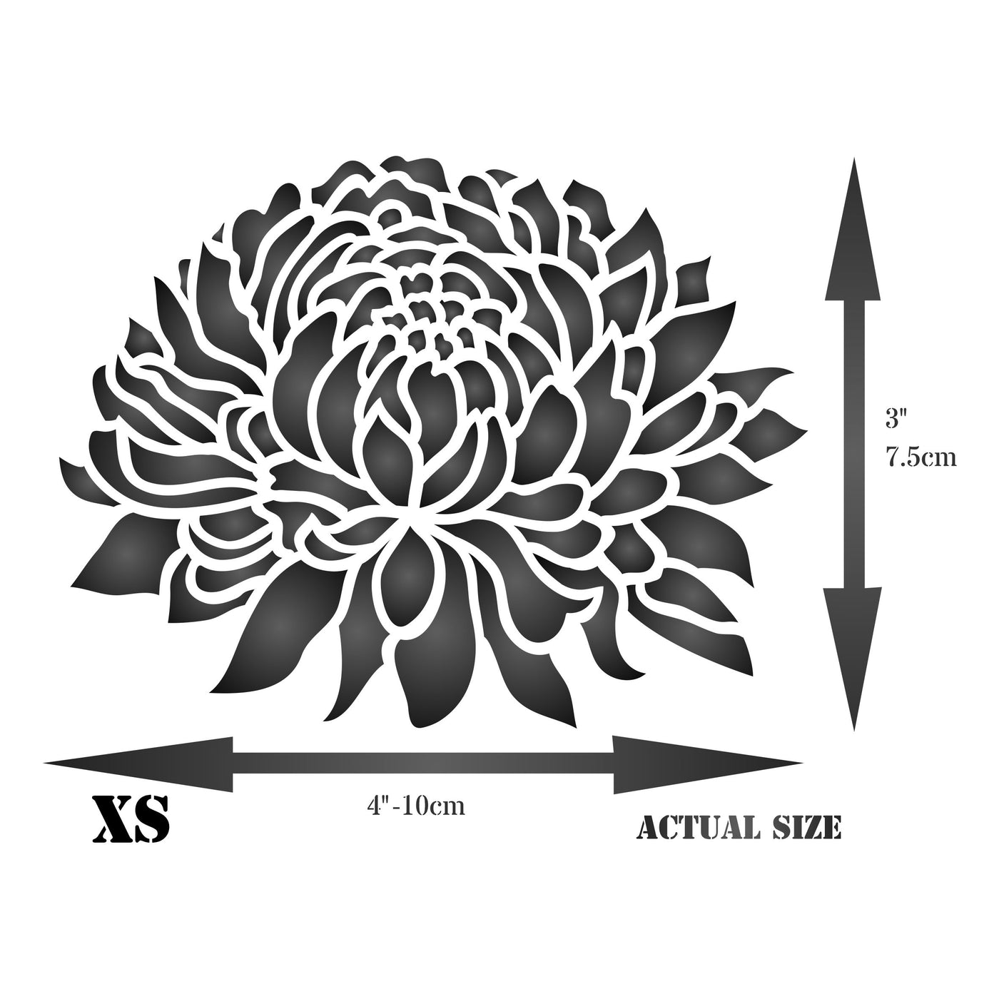Chrysanthemum Stencil - Large Flower Flora Mums