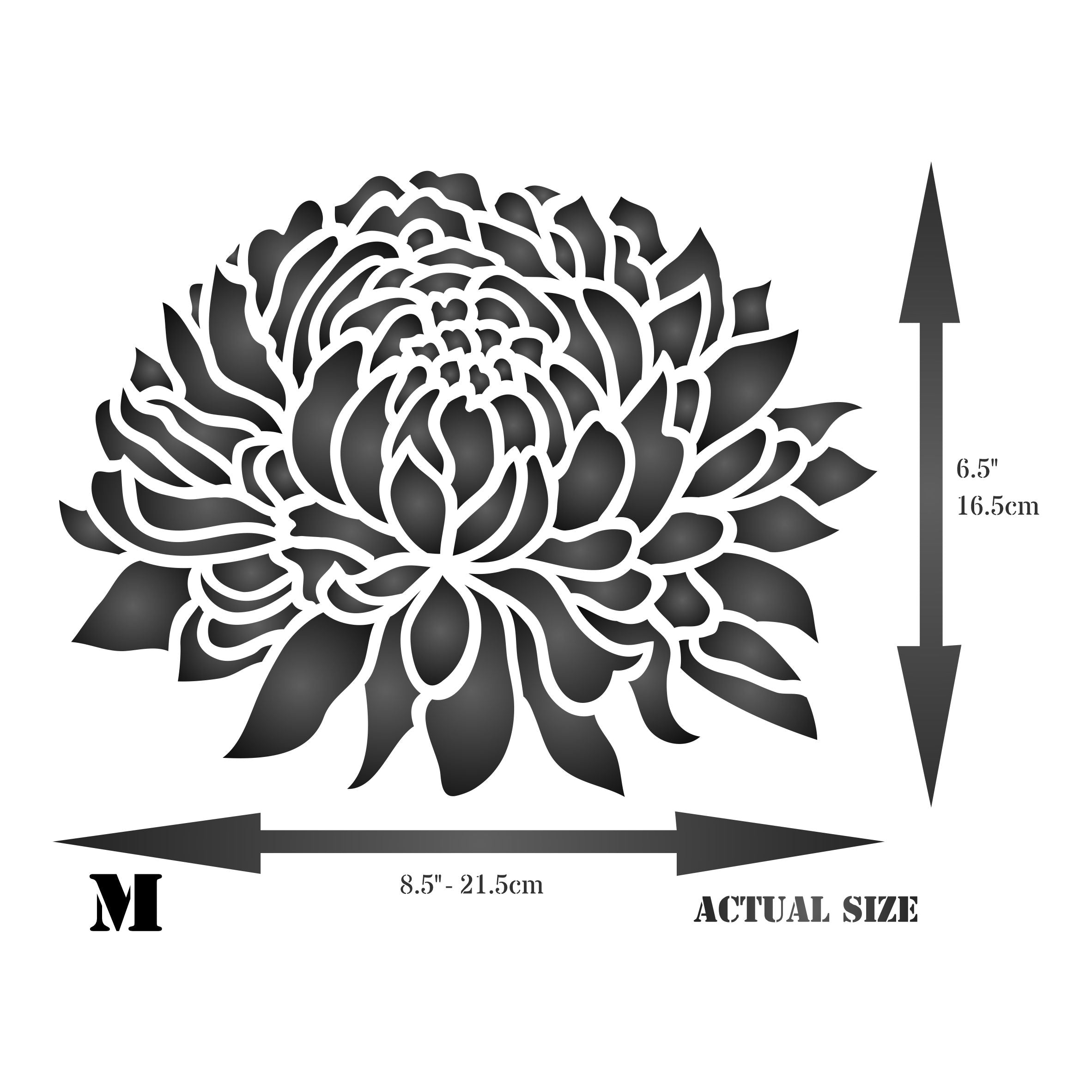 Chrysanthemum Stencil - Large Flower Flora Mums