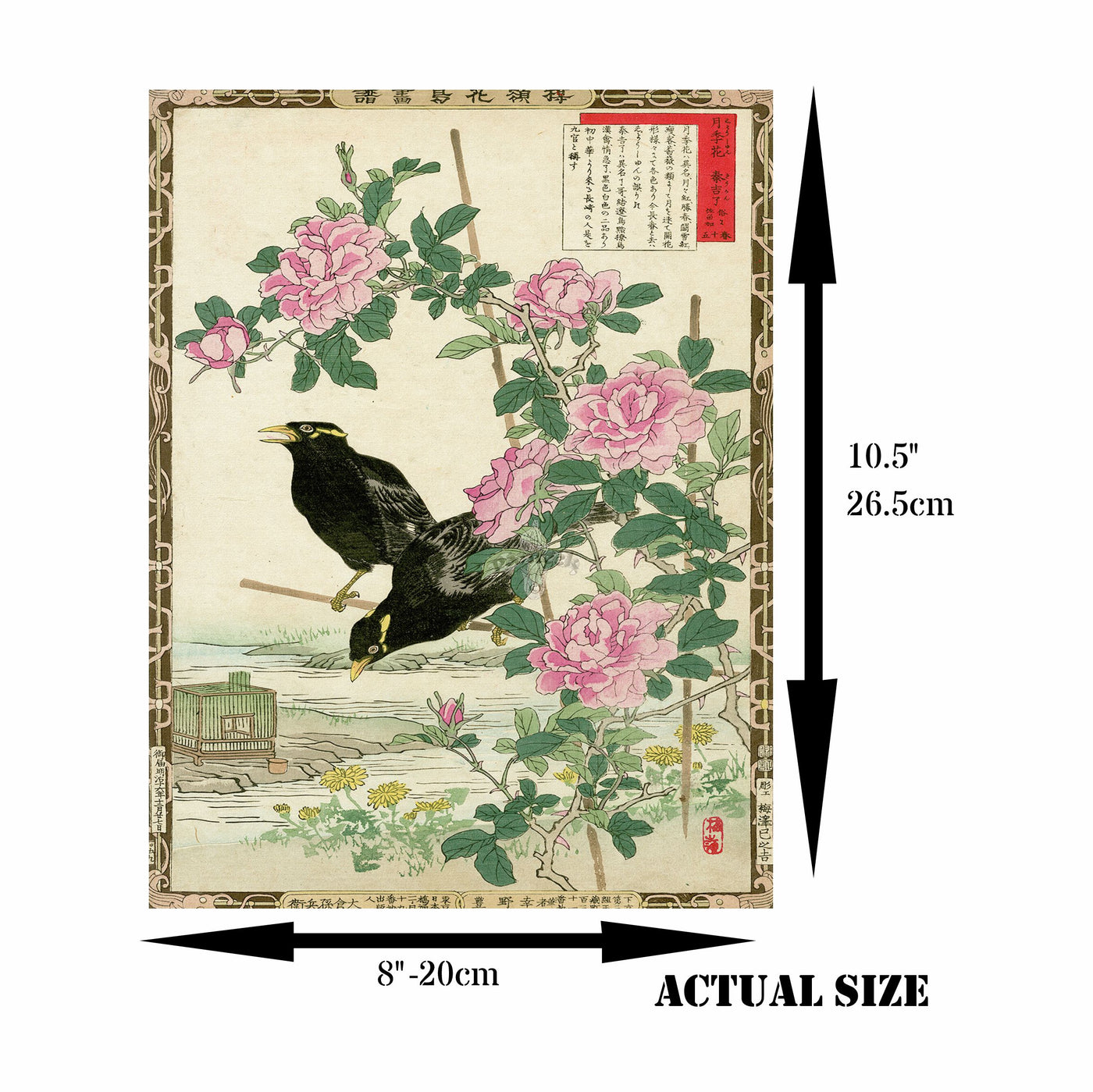 Chinese Birds Rice Paper- 6 Unique Printed Mulberry Paper Pages 30gsm