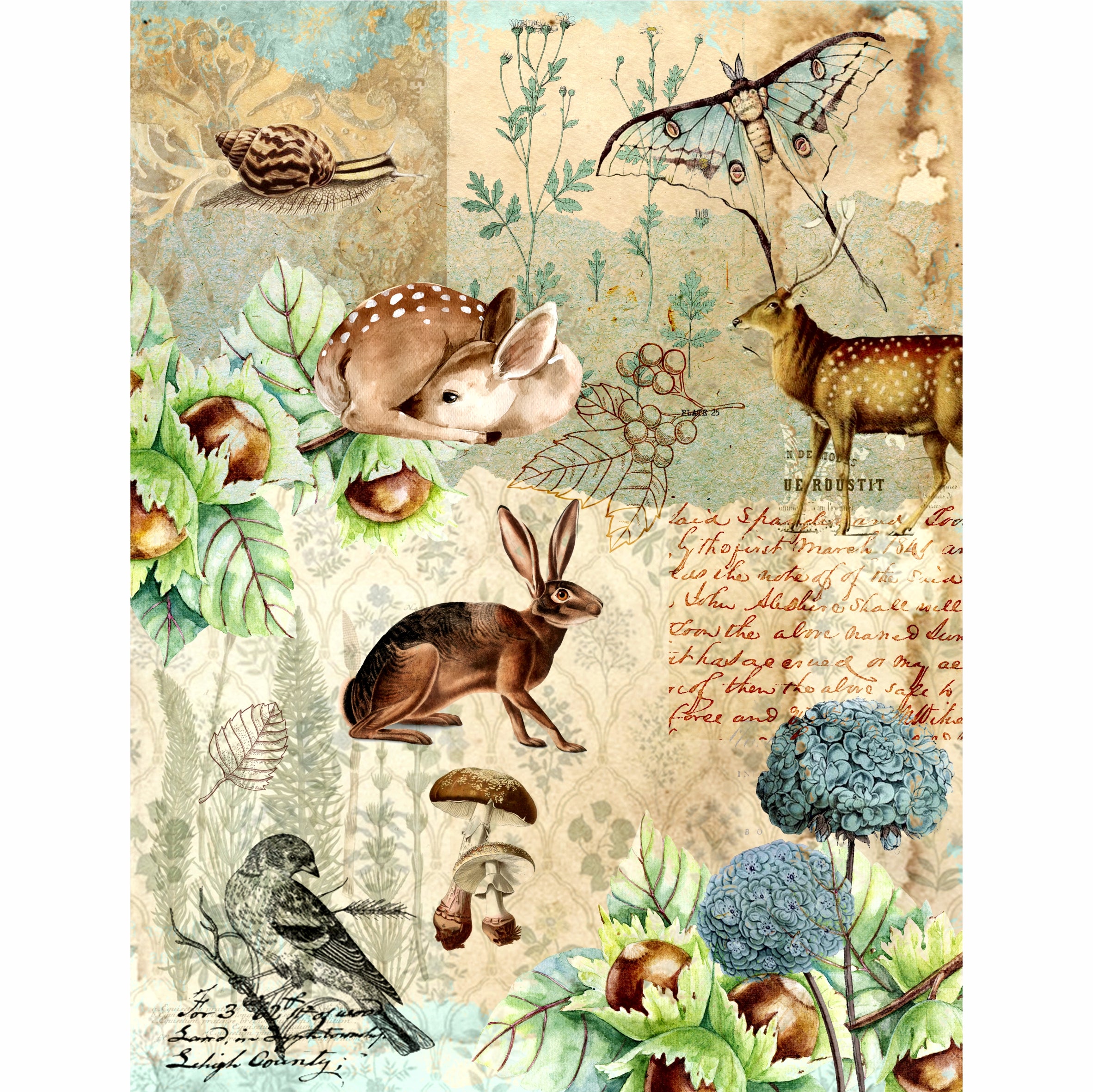 Woodland Theme Rice Paper- 6 x Different Printed Mulberry Paper Images 30gsm