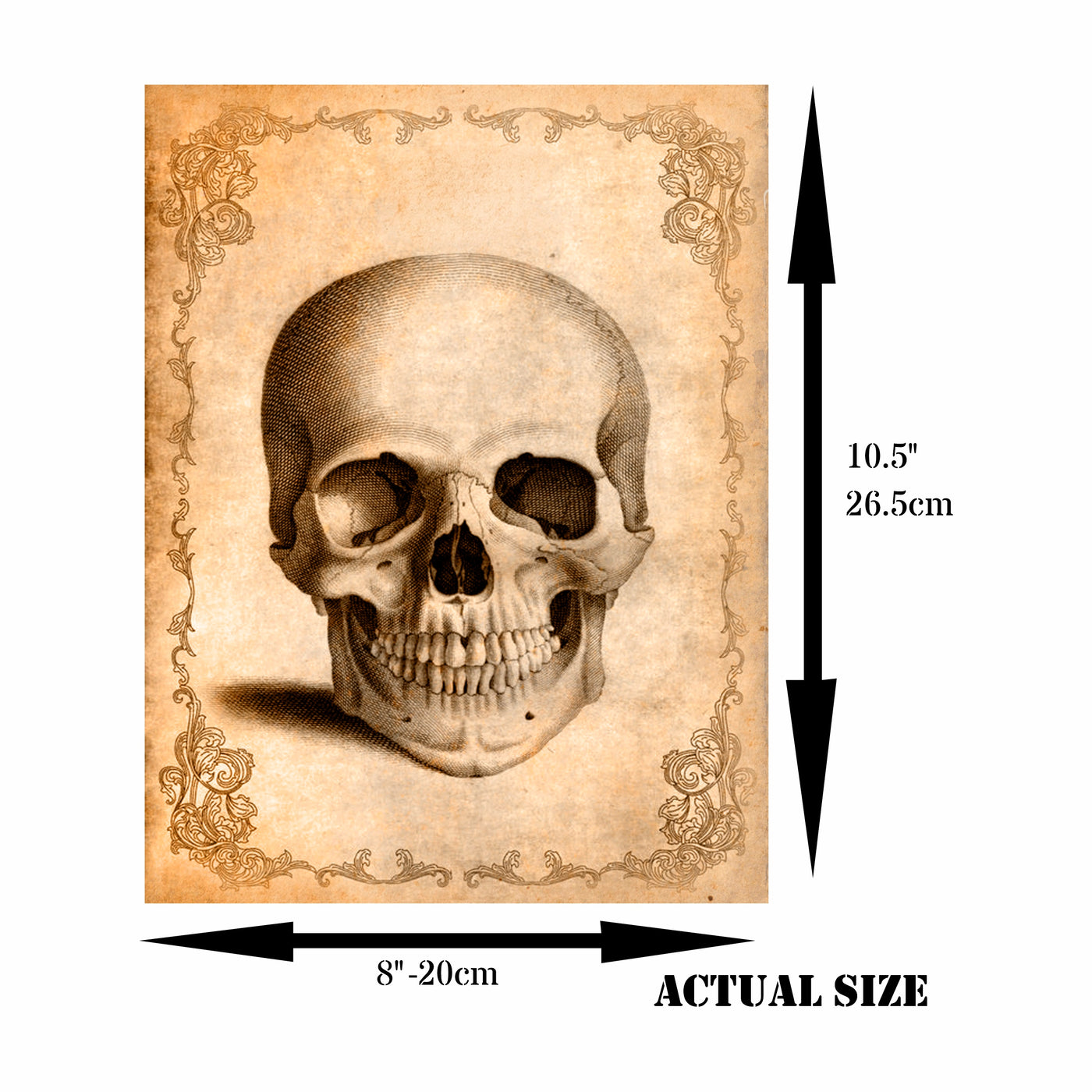 Skull Theme Rice Paper- 6 Unique Printed Mulberry Paper Images 30gsm