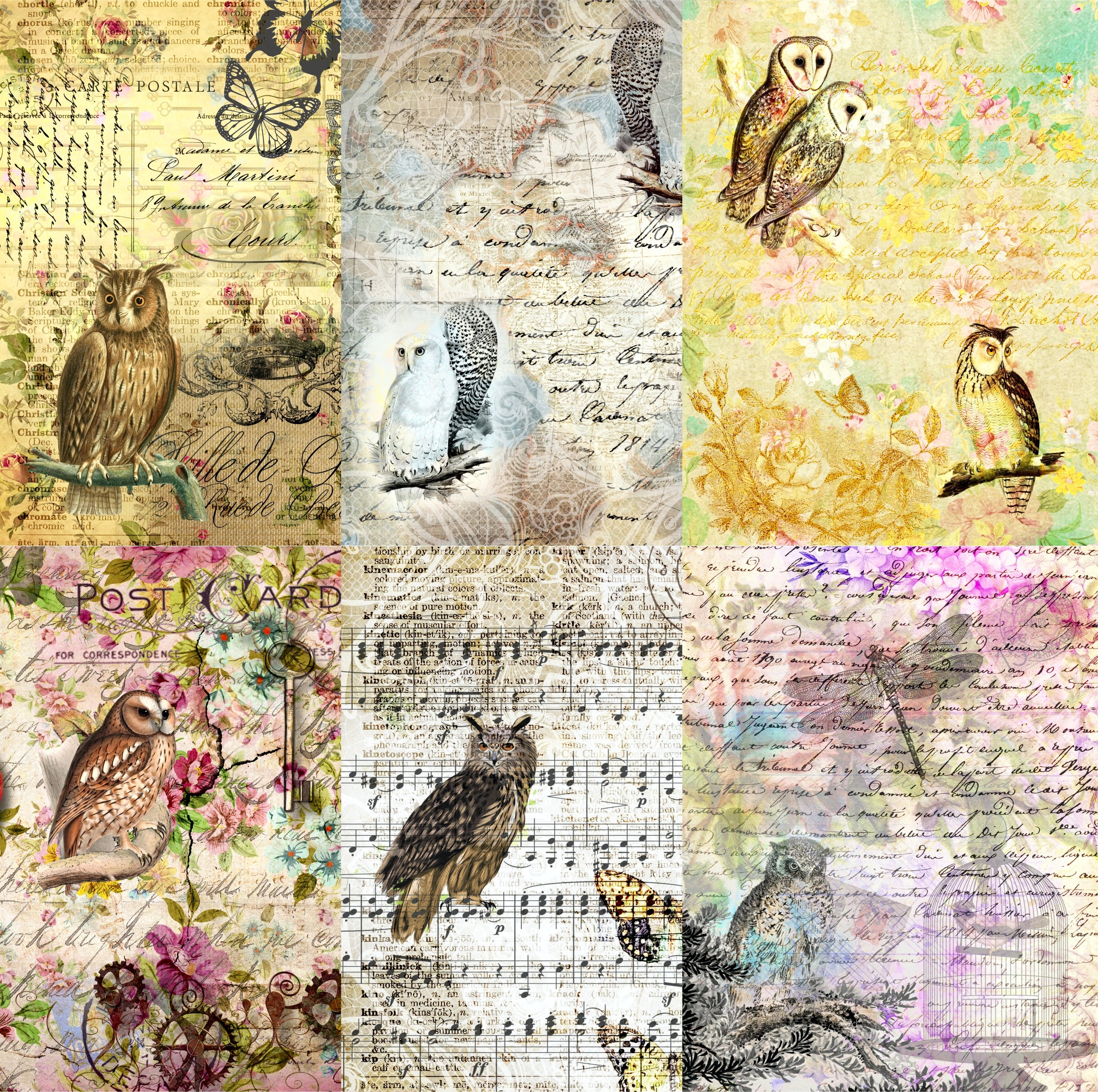 Owl Theme Rice Paper- 6 Unique Printed Mulberry Paper Images 30gsm