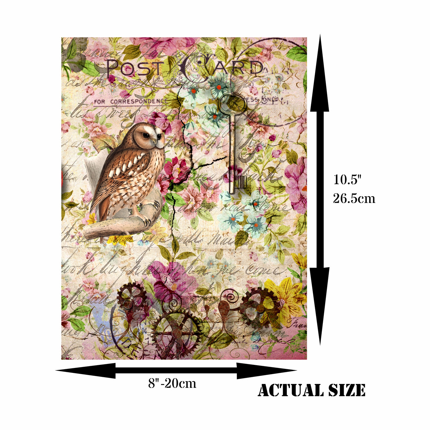 Owl Theme Rice Paper- 6 Unique Printed Mulberry Paper Images 30gsm