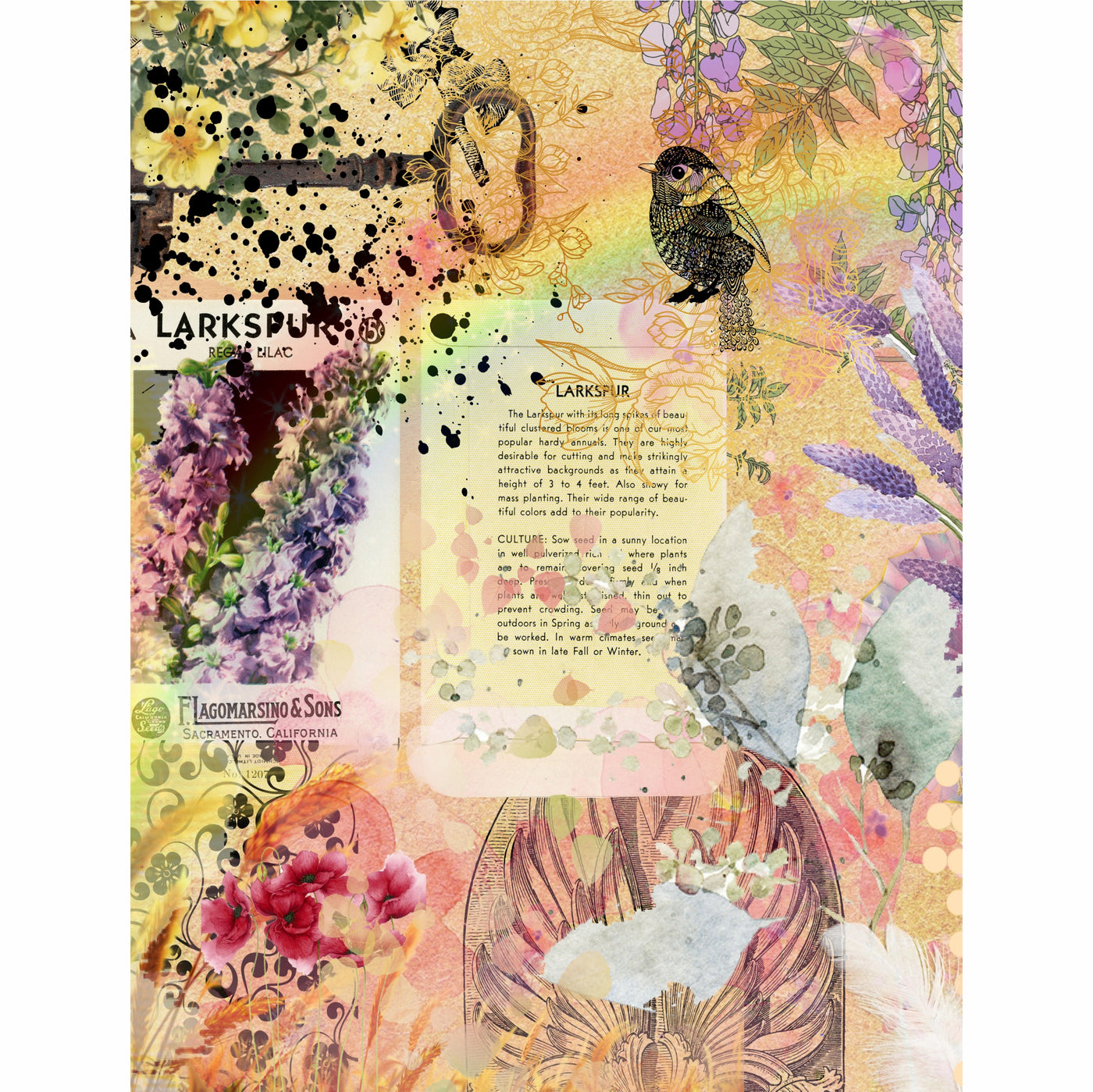 Collage Media Rice Paper- 6 x Different Printed Mulberry Paper Images 30gsm