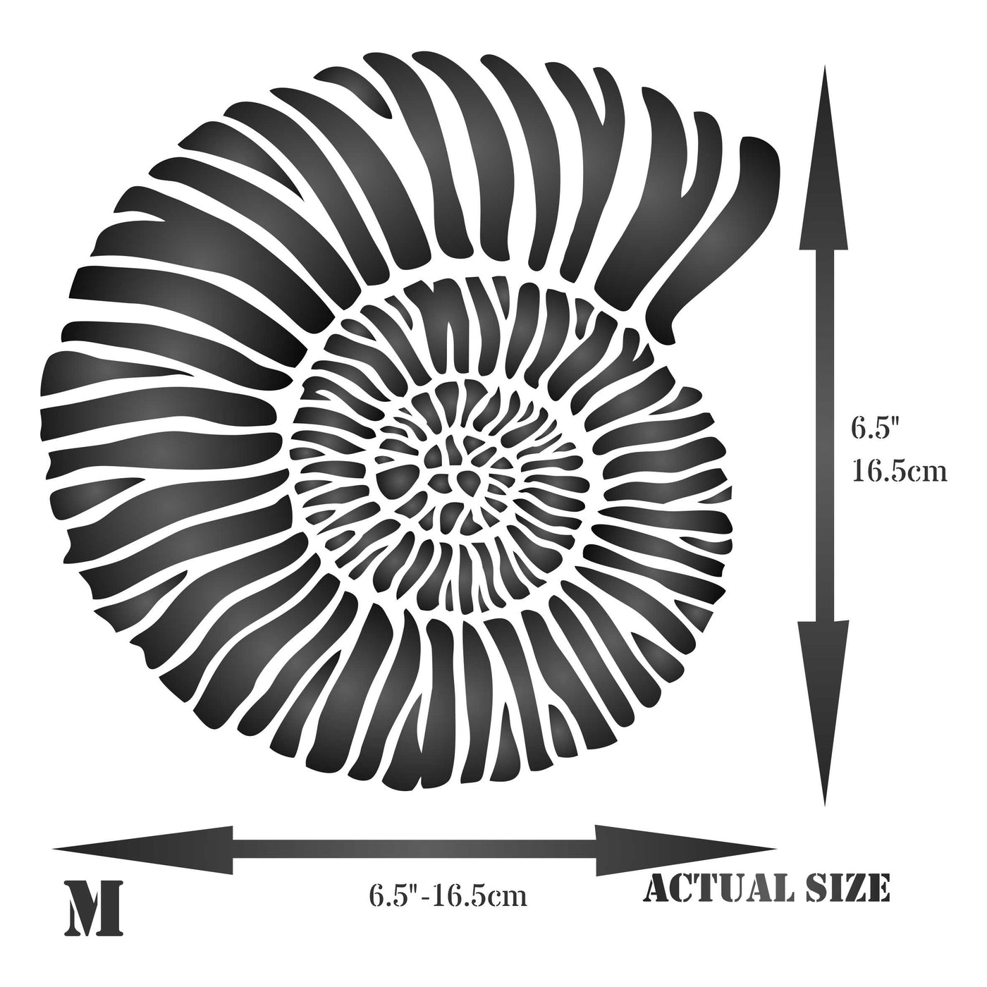 Fossil Shell Stencil - Jurassic Nautilus Shell Ammonite Fossil