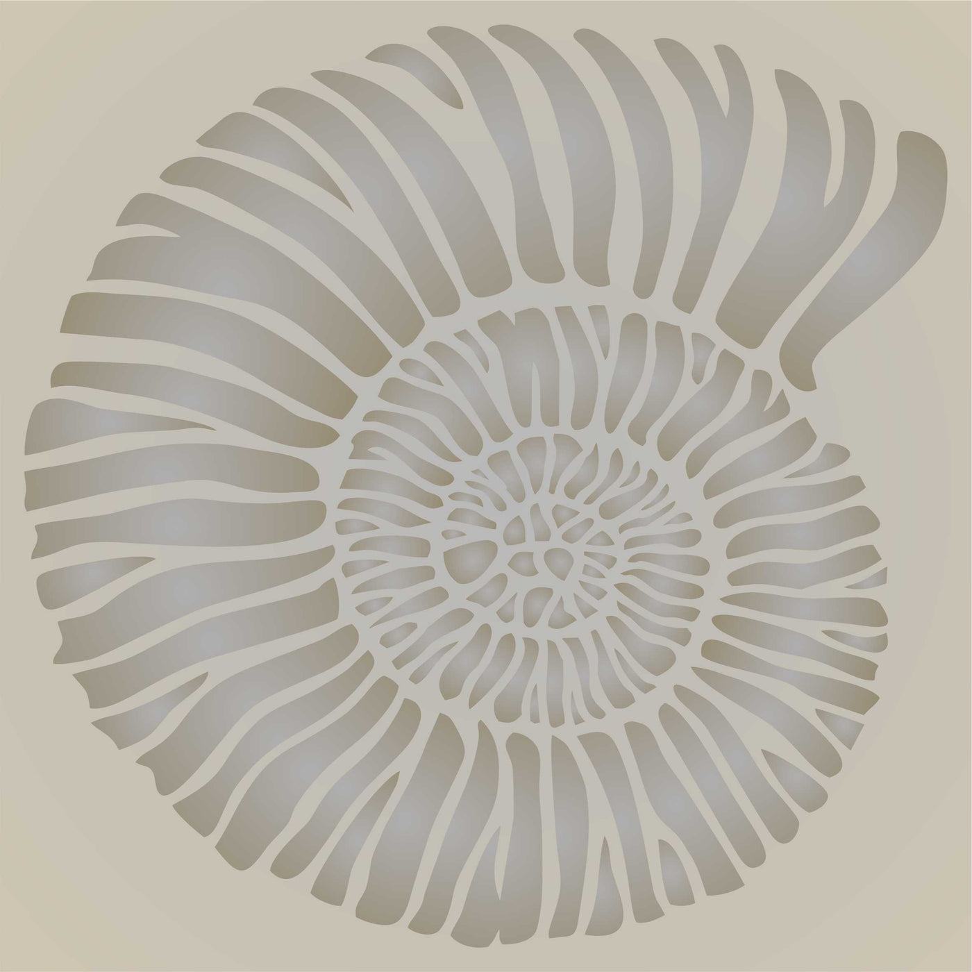 Fossil Shell Stencil - Jurassic Nautilus Shell Ammonite Fossil