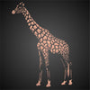 Giraffe Stencil - African Wild Animal