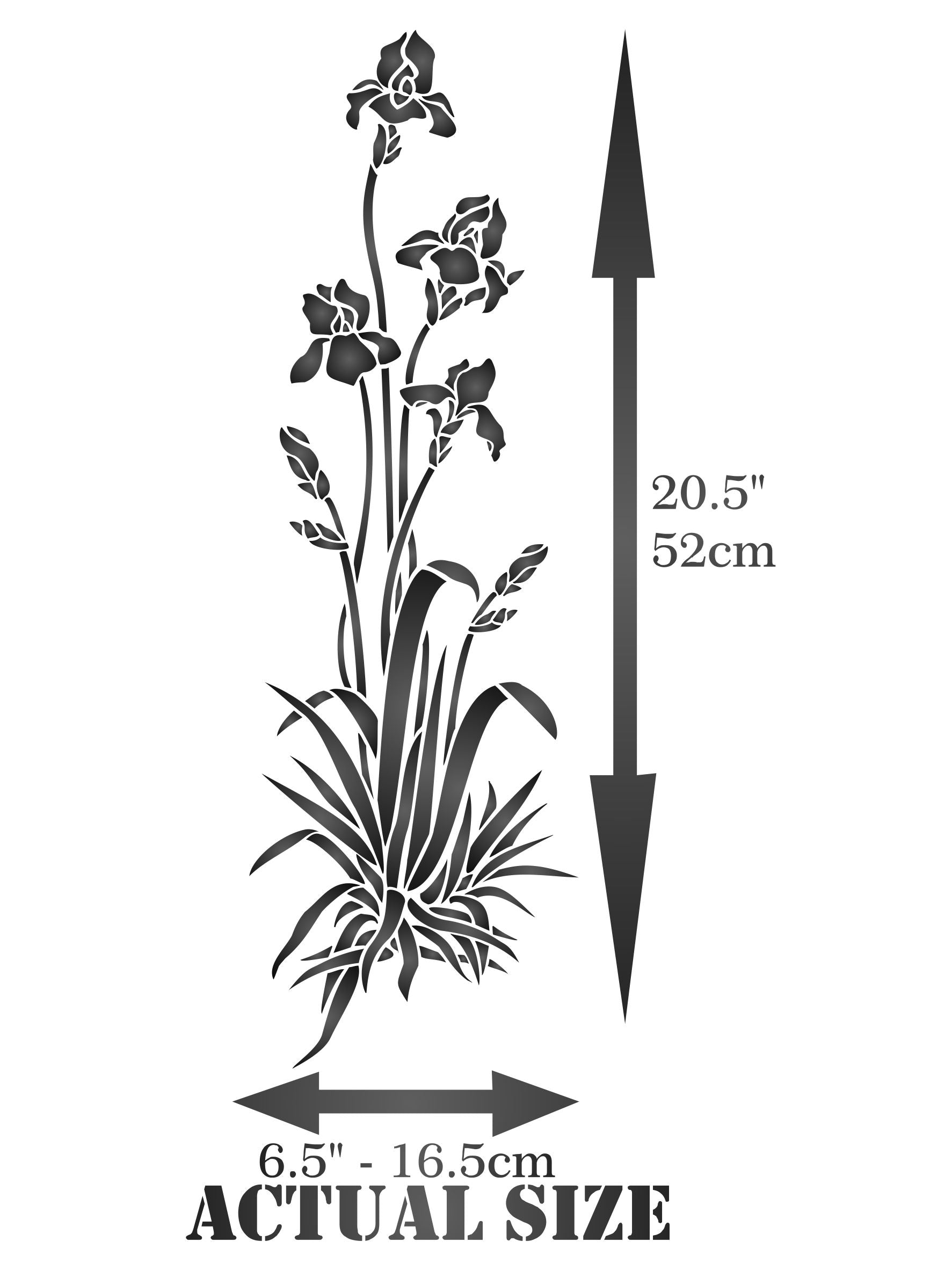 Iris Stencil- Single Flower Floral Plant