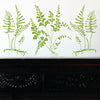 Fern Plants Stencil - Tropical Sword Ferns