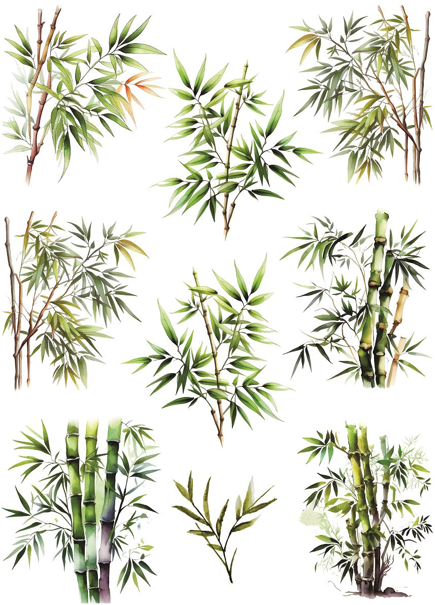Bamboo Rice Paper- 9 Unique Bamboo Images Printed on 36gsm