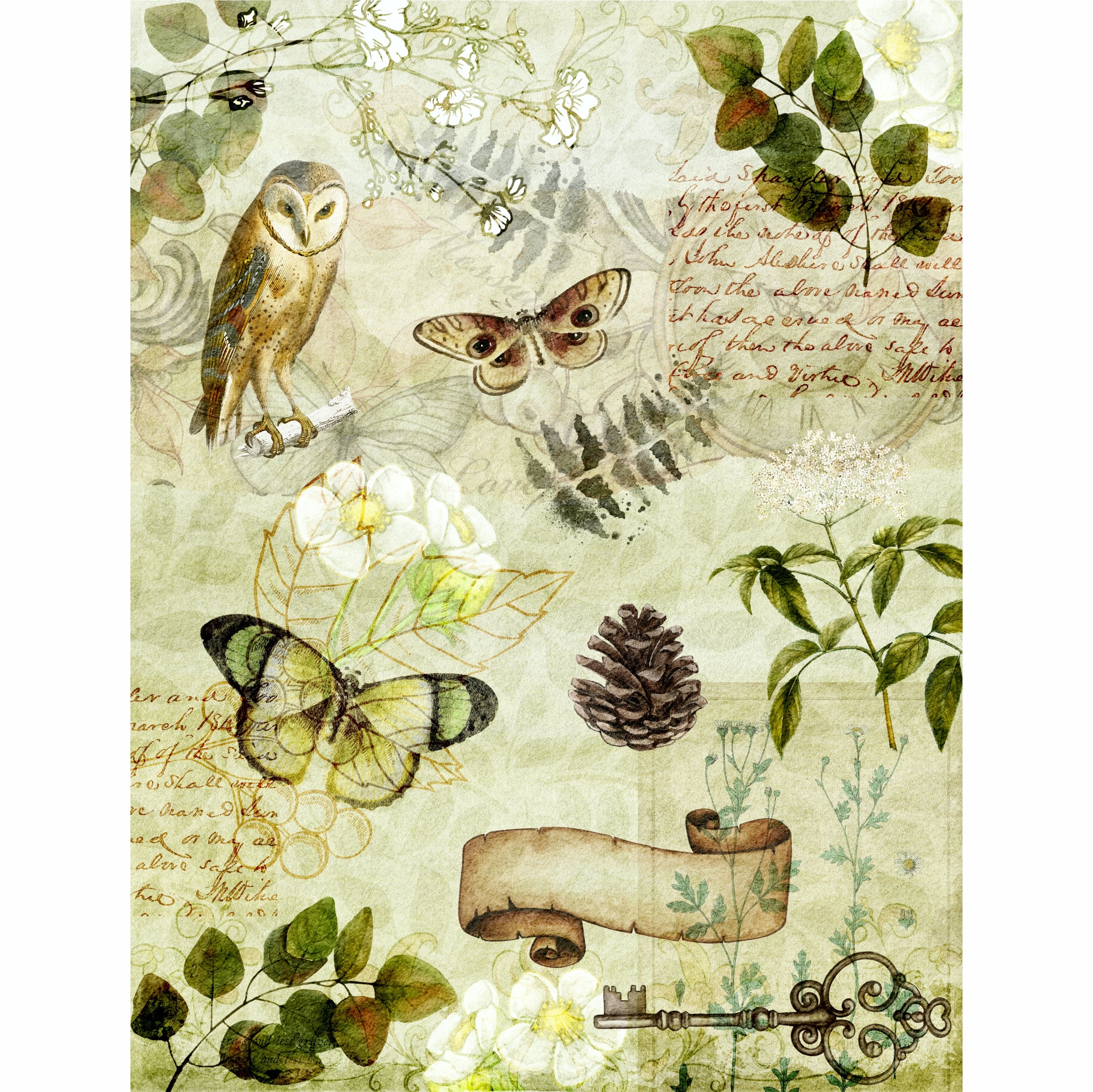 Woodland Theme Rice Paper- 6 x Different Printed Mulberry Paper Images 30gsm