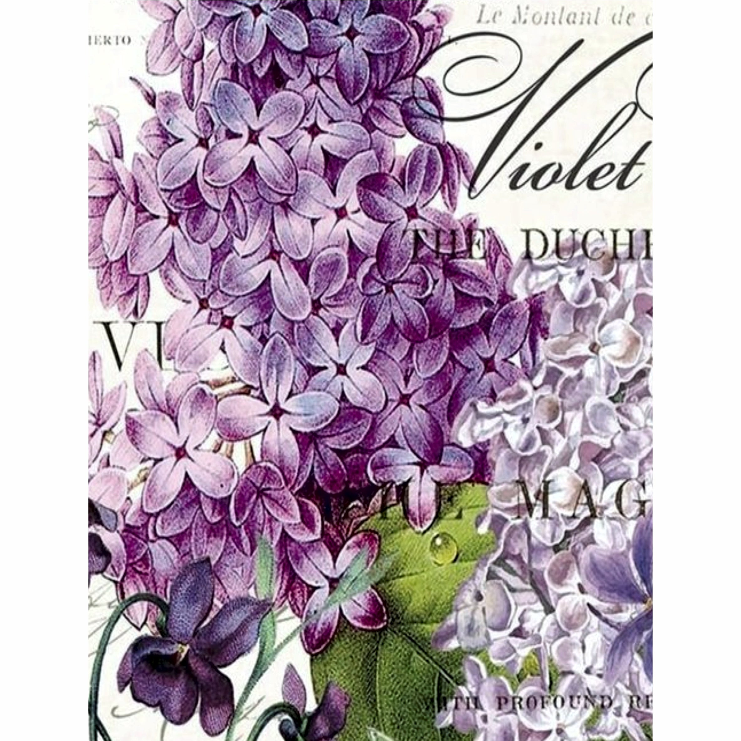 Lilac Theme Rice Paper- 6 x Different Printed Mulberry Paper Images 30gsm