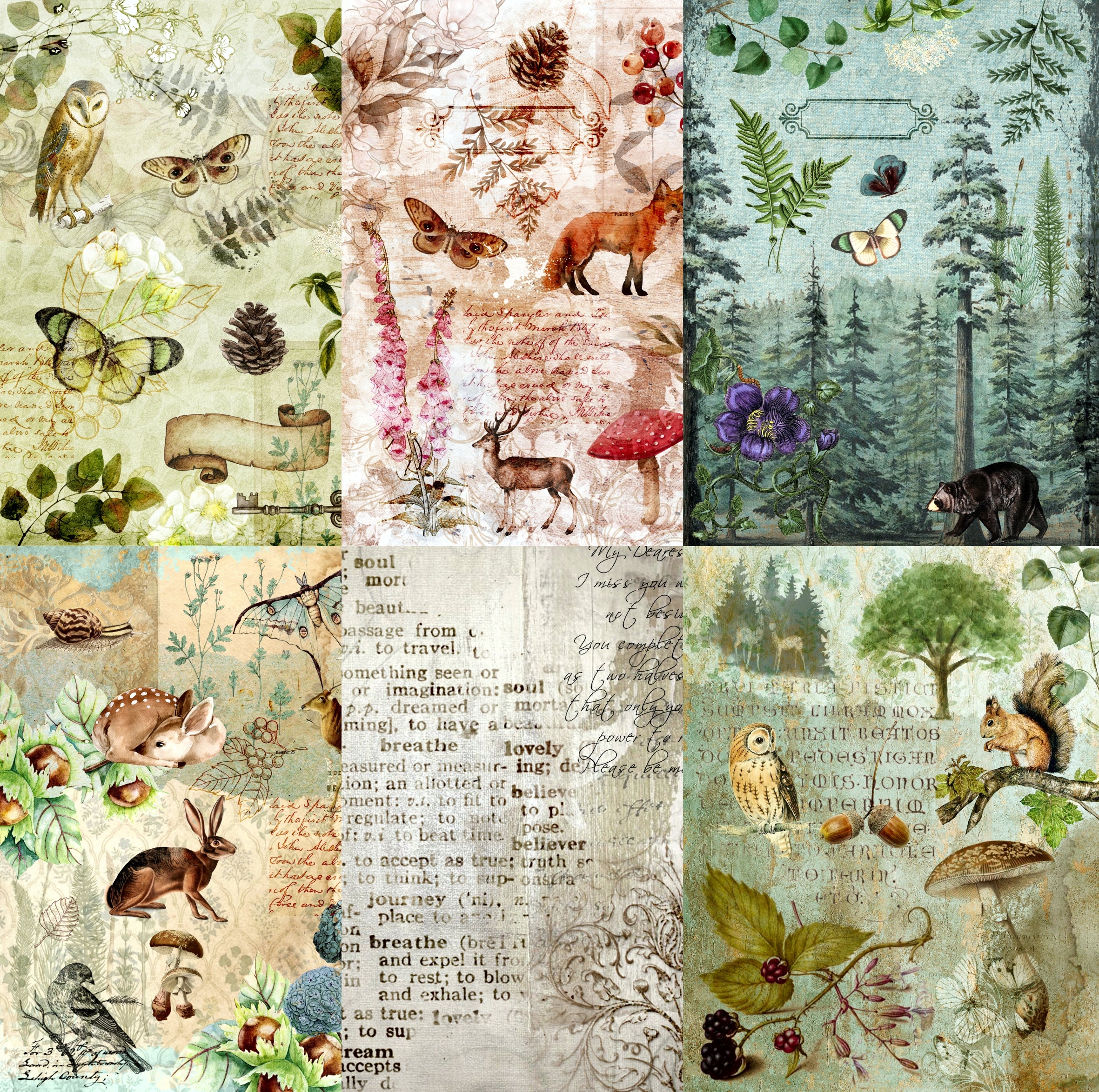 Woodland Theme Rice Paper- 6 x Different Printed Mulberry Paper Images 30gsm