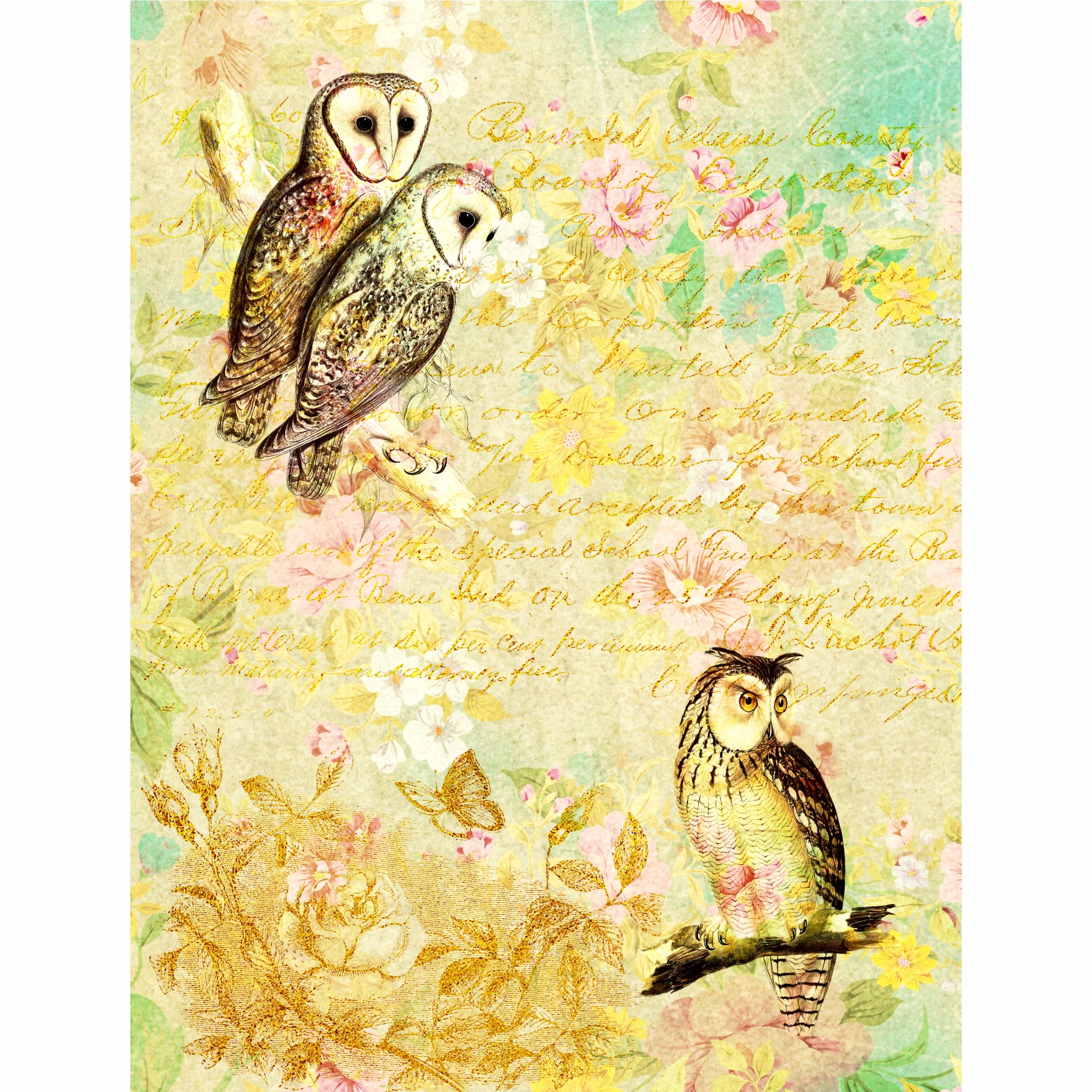 Owl Theme Rice Paper- 6 Unique Printed Mulberry Paper Images 30gsm